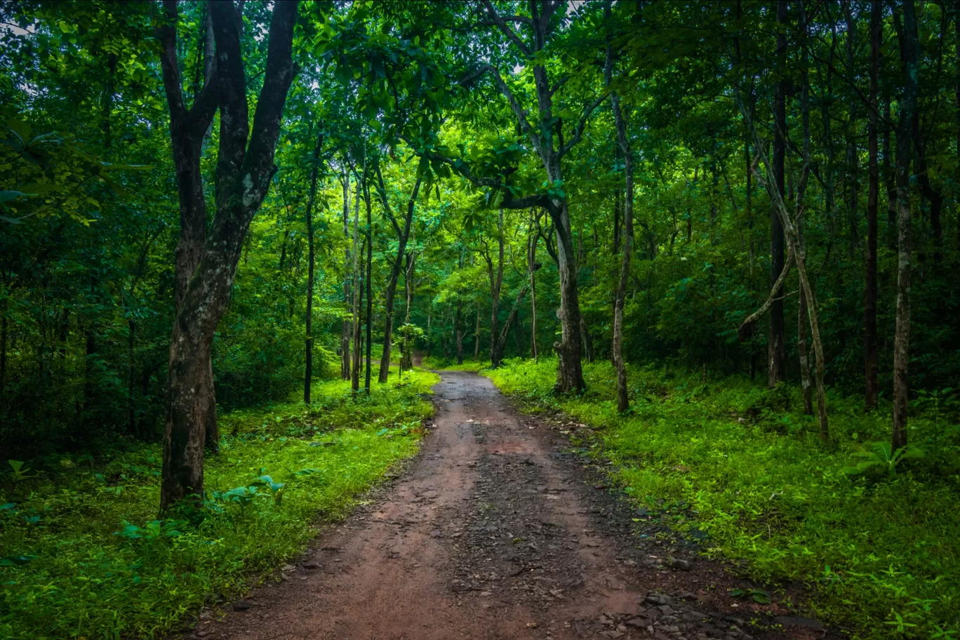 Photo of Perumthenaruvi Hilltop Road By Rishab Tripathy