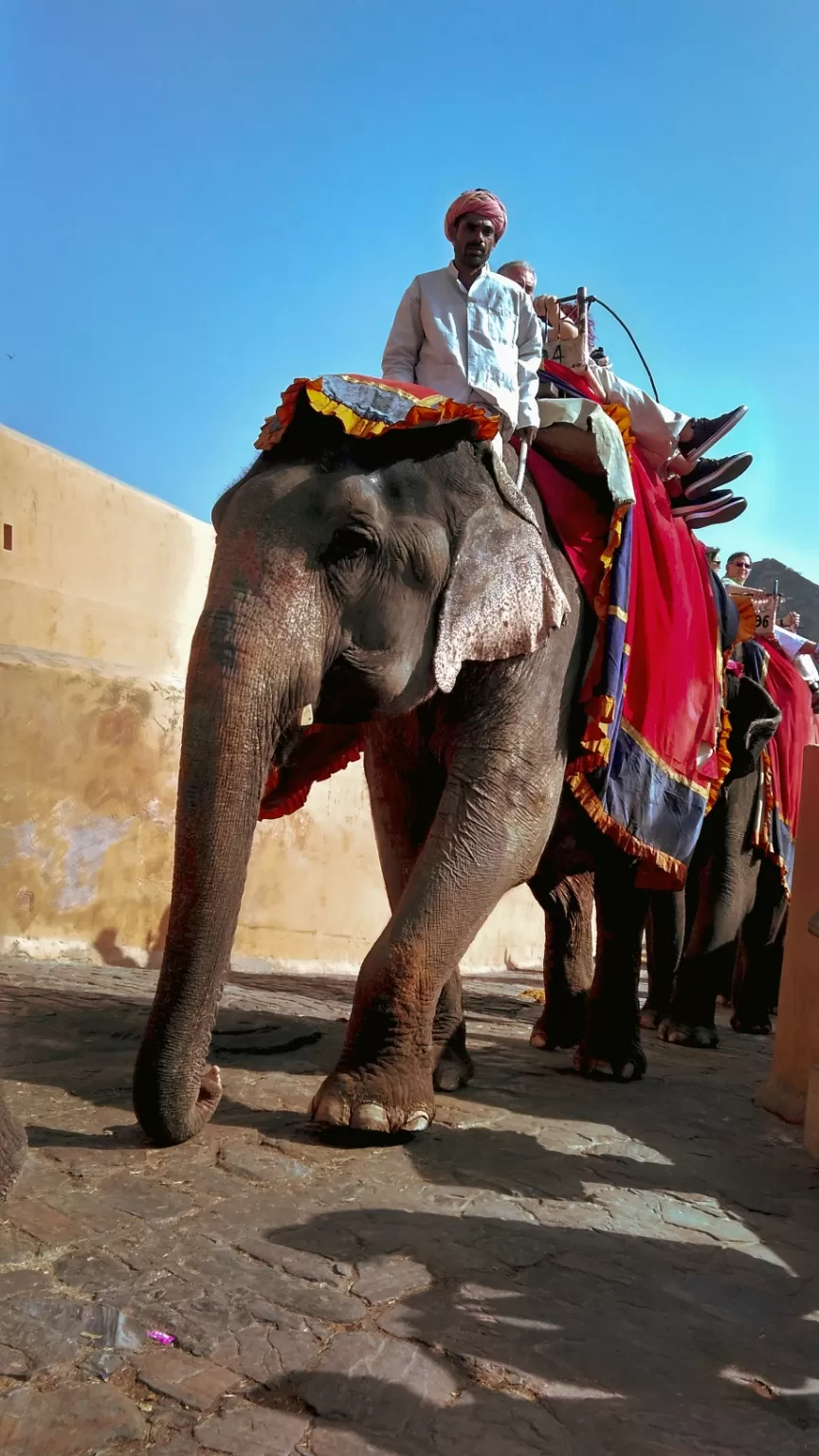 Photo of Jaipur By Vrushika Mistry