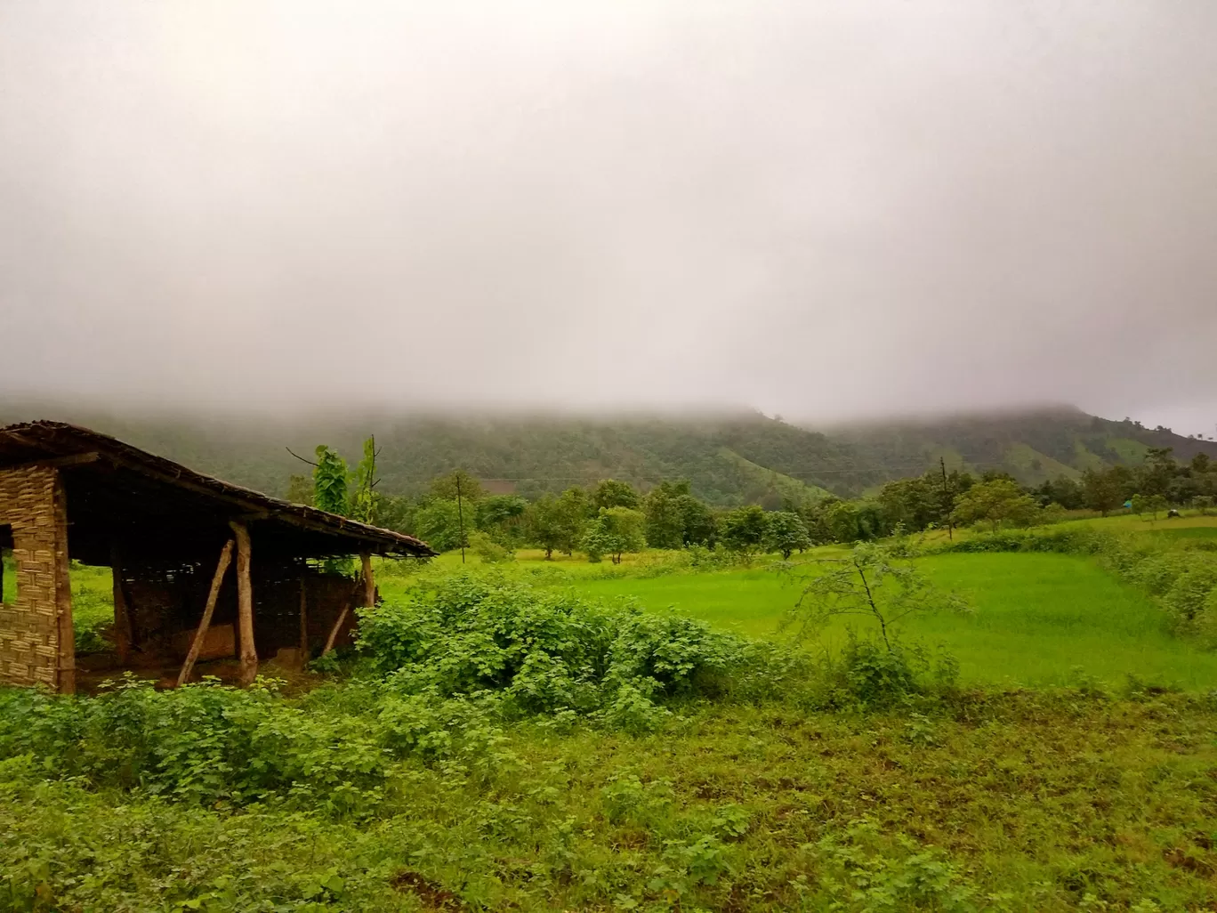 Photo of Beauty of toranmal and dahel By gopal soni