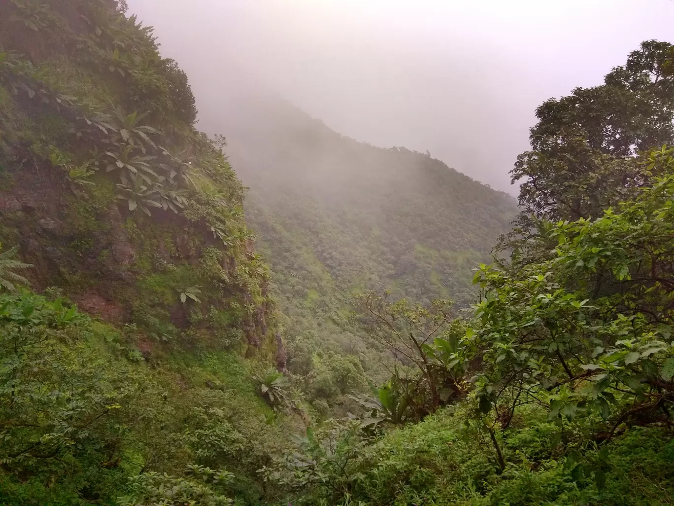 Photo of Beauty of toranmal and dahel By gopal soni