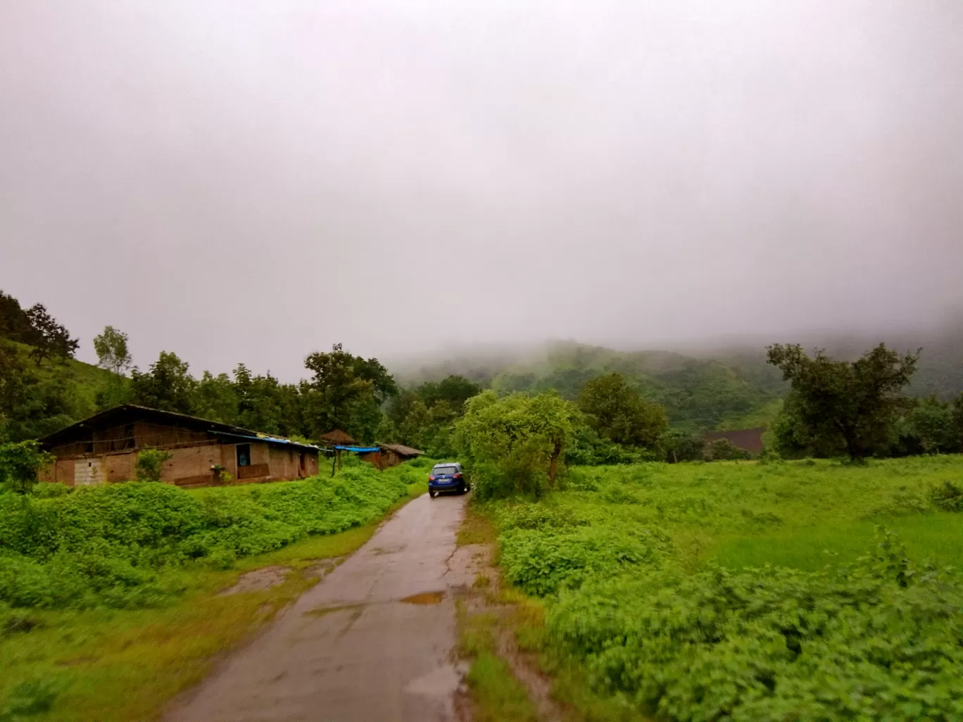 Photo of Beauty of toranmal and dahel By gopal soni