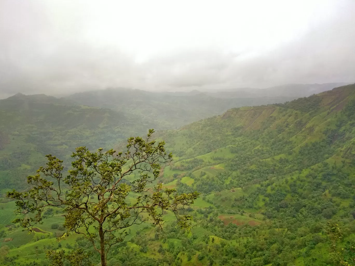 Photo of Beauty of toranmal and dahel By gopal soni