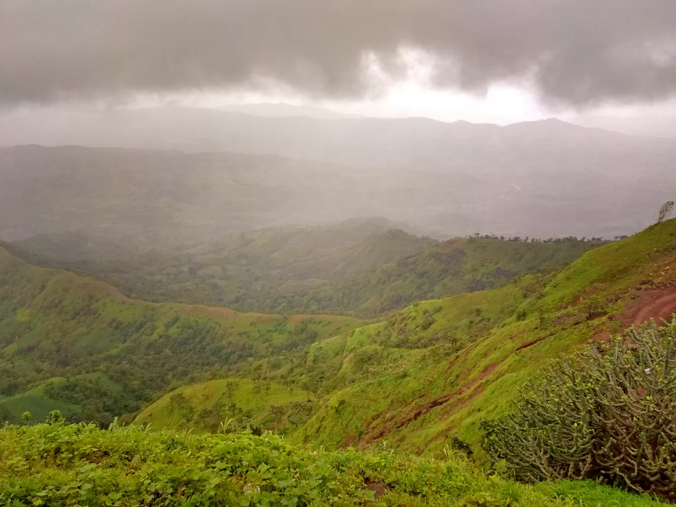 Photo of Beauty of toranmal and dahel By gopal soni