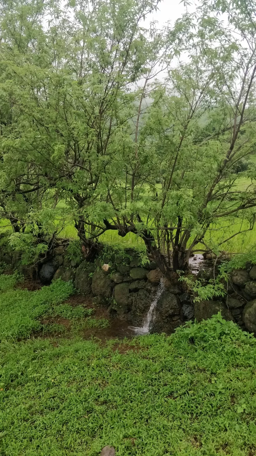 Photo of Bhivpuri Waterfalls Umroli By Denver Rodrigues