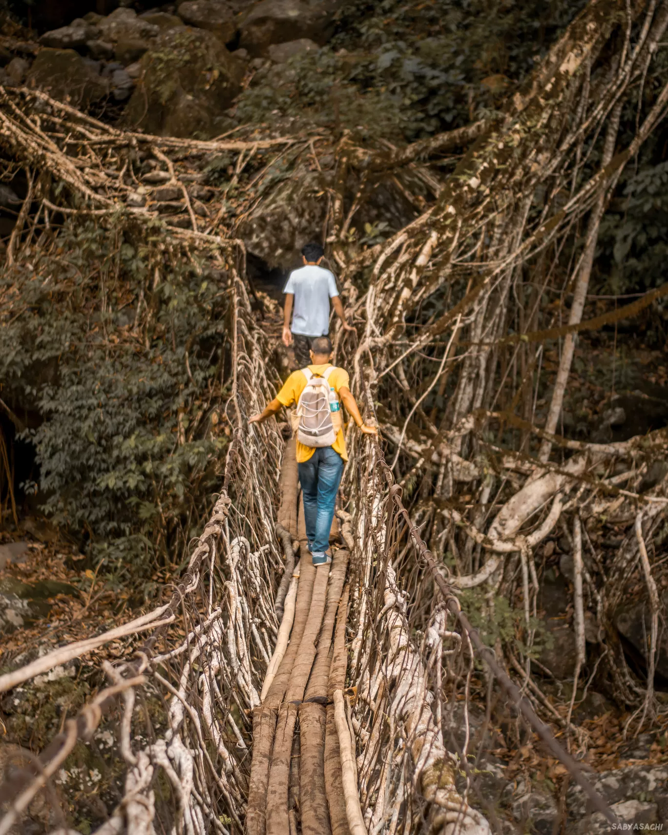 Photo of Living Root Bridge By Sabyasachi Sanyal