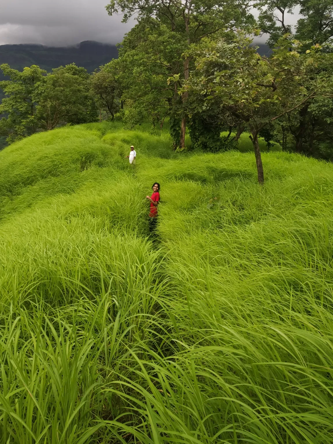 Photo of Mrugagad By Shraddha Patil