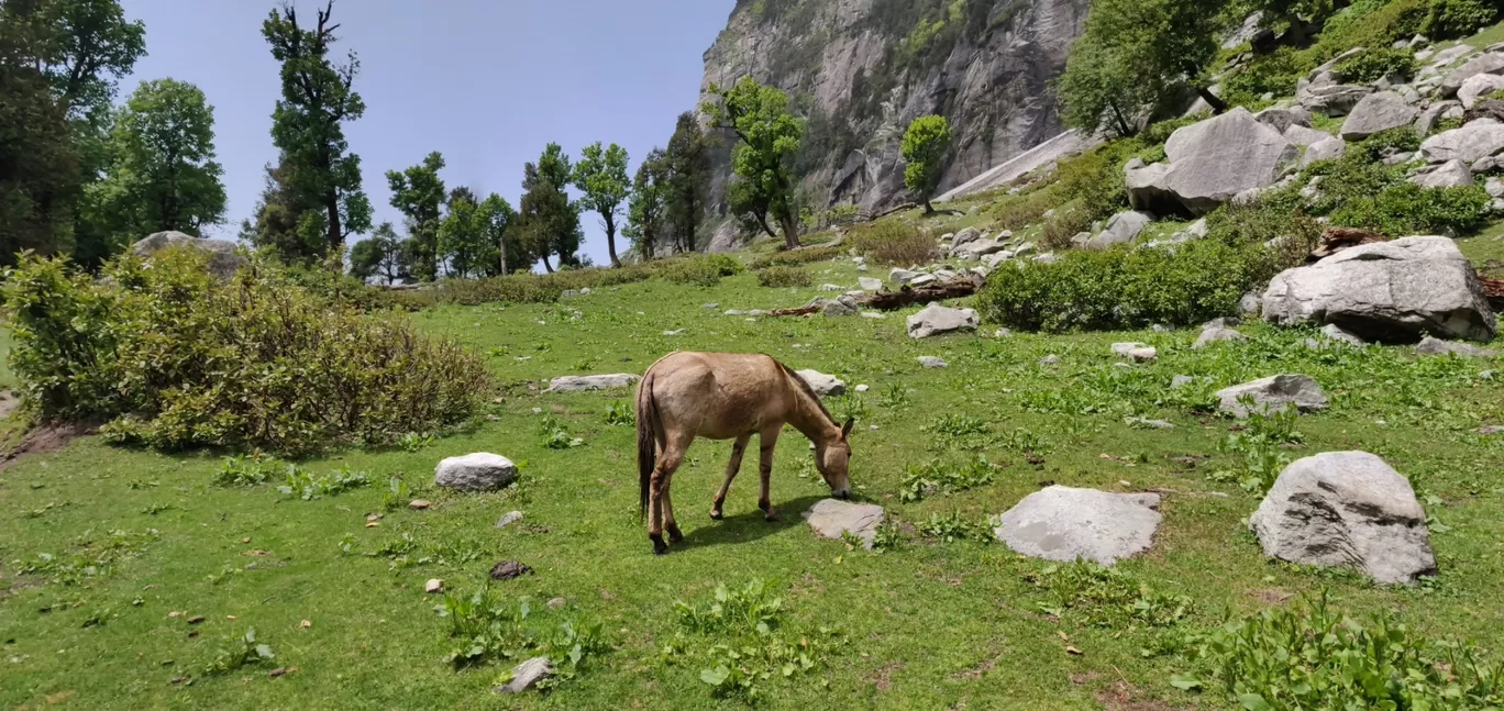 Photo of Hampta By Smit Bhadeshiya
