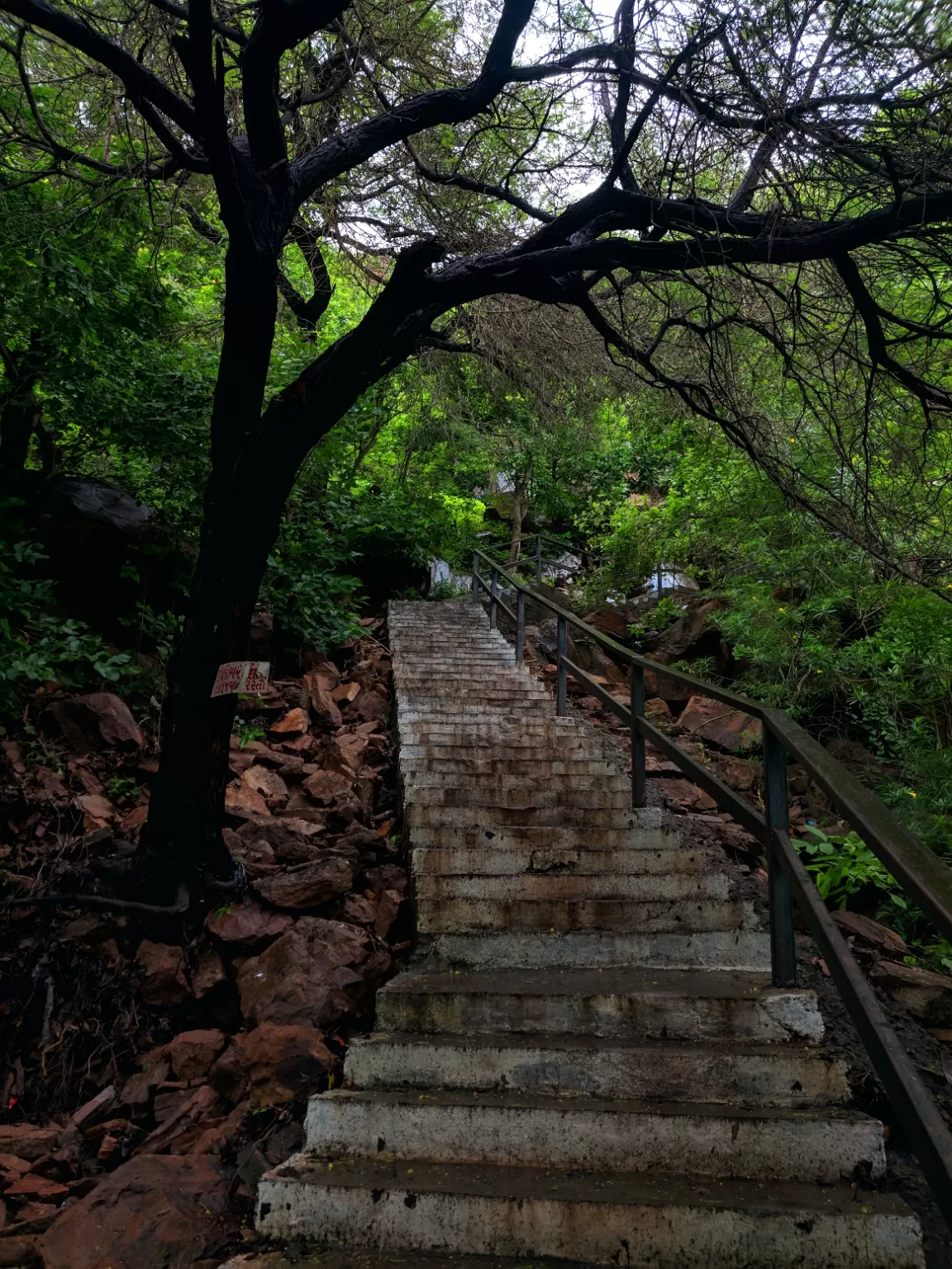 Photo of Osam Hill By Smit Bhadeshiya