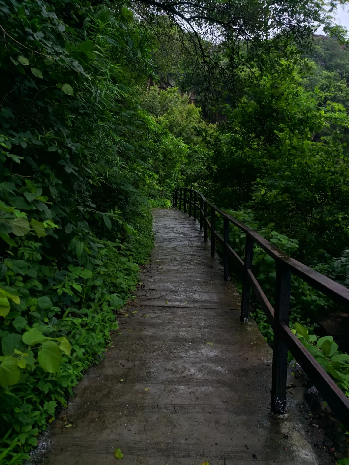 Photo of Osam Hill By Smit Bhadeshiya
