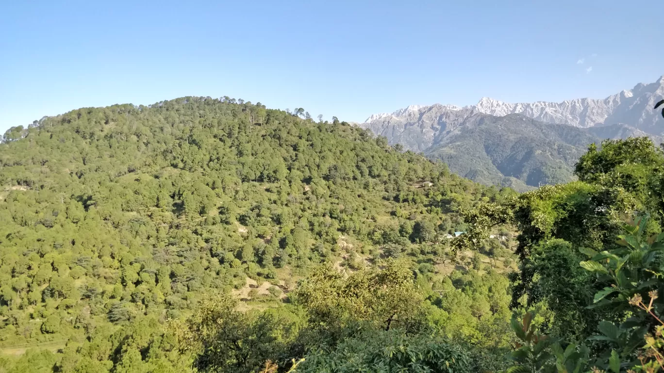 Photo of Palampur By Jagdeep Singh