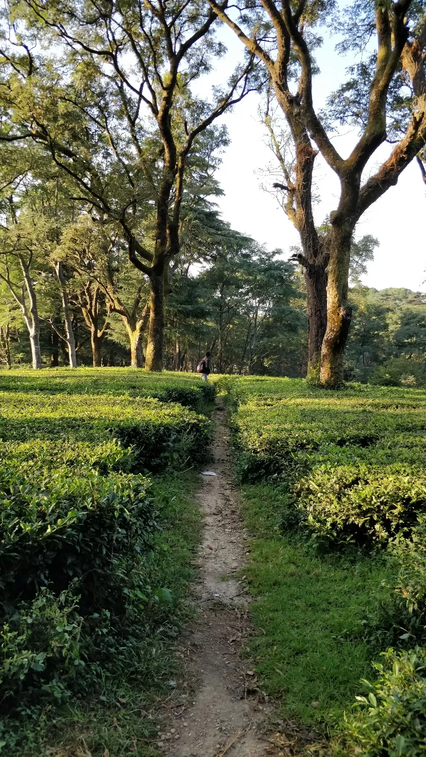 Photo of Palampur By Jagdeep Singh