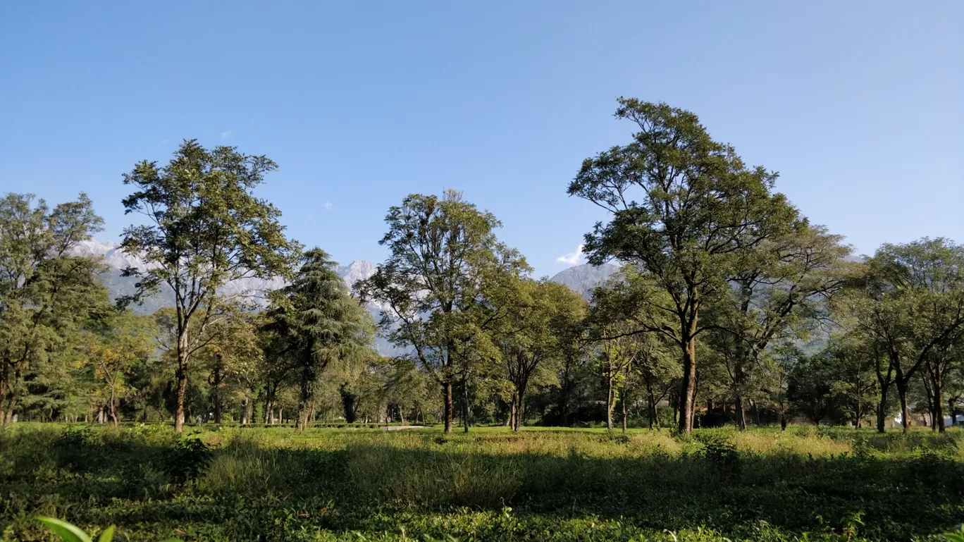 Photo of Palampur By Jagdeep Singh