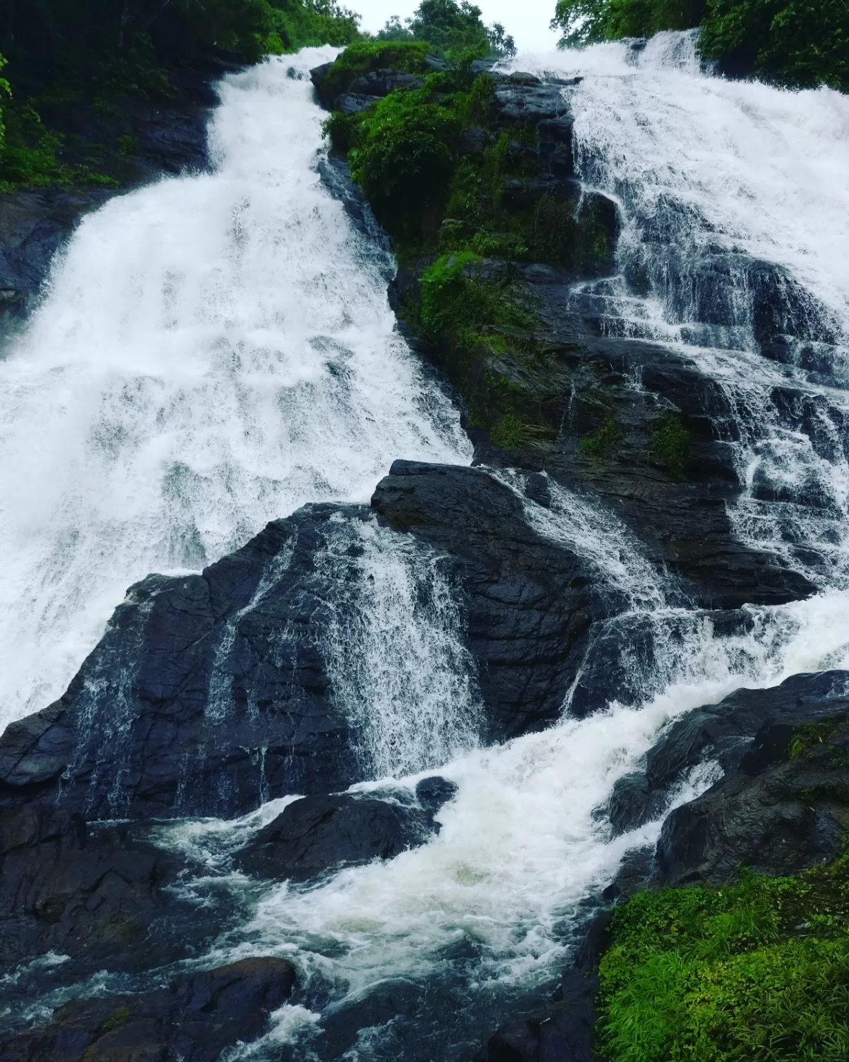 Photo of Athirapilly and Charpa Waterfalls By Kiran Vijayan
