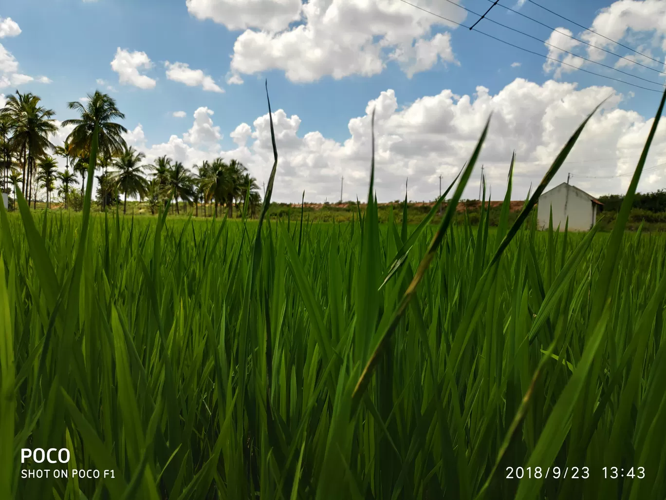Photo of Tiptur By Guru Kiran