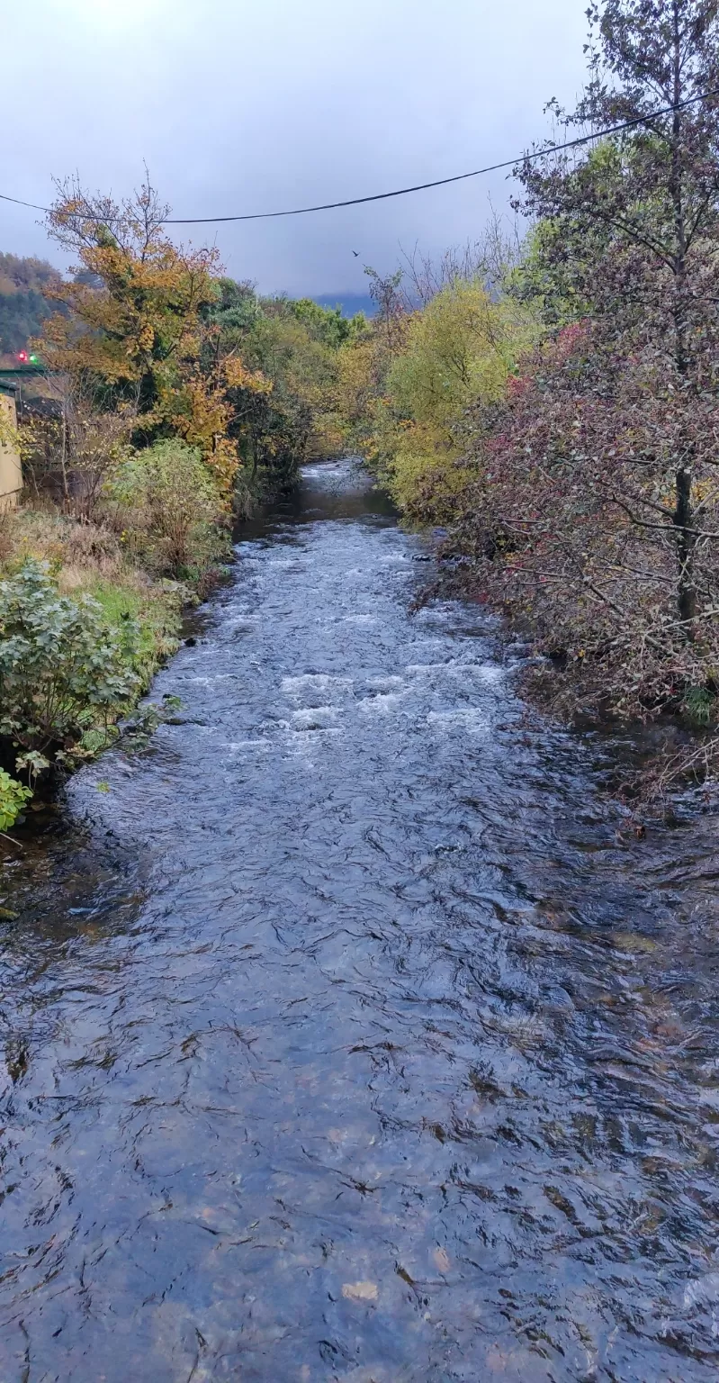 Photo of Snowdonia National Park By Preeti Parashar