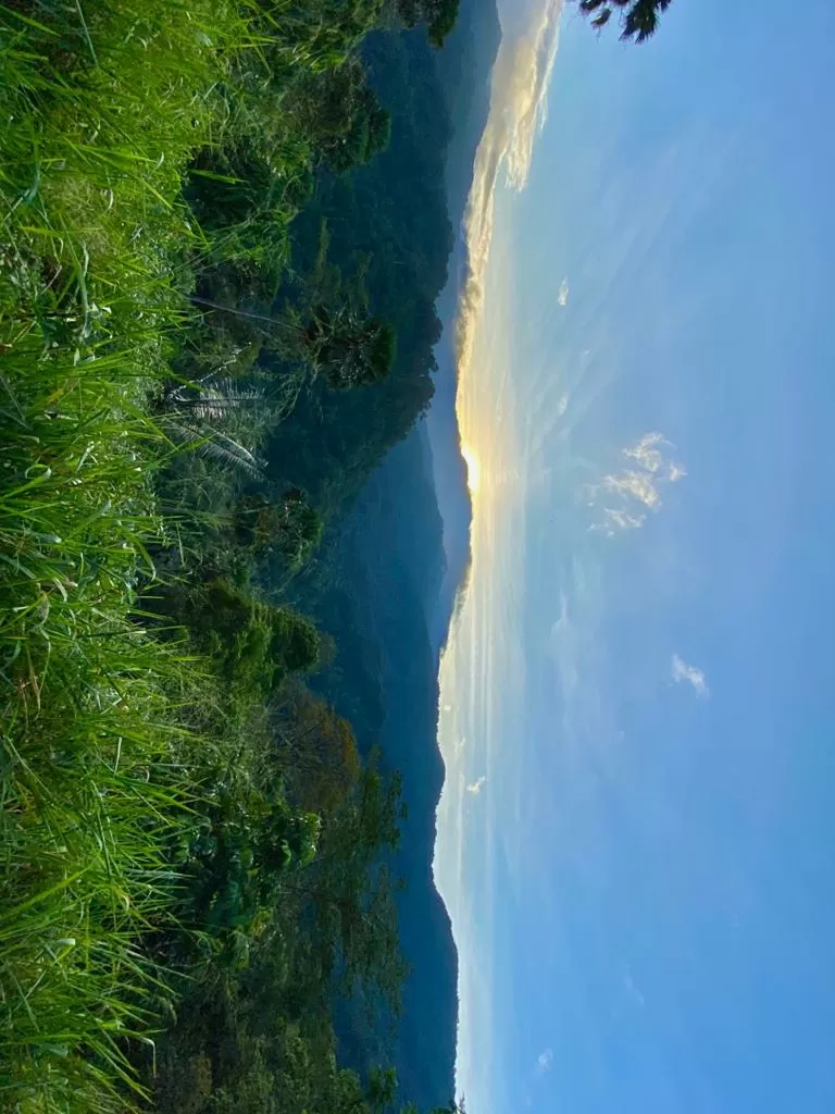 Photo of Cameron Highlands By Mukesh Reddy