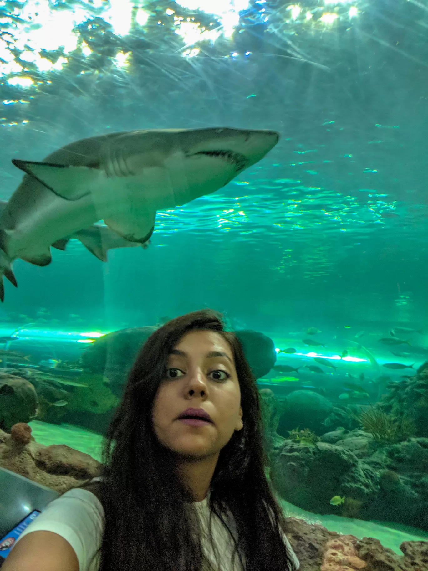 Photo of Ripley's Aquarium of Canada By Mansi