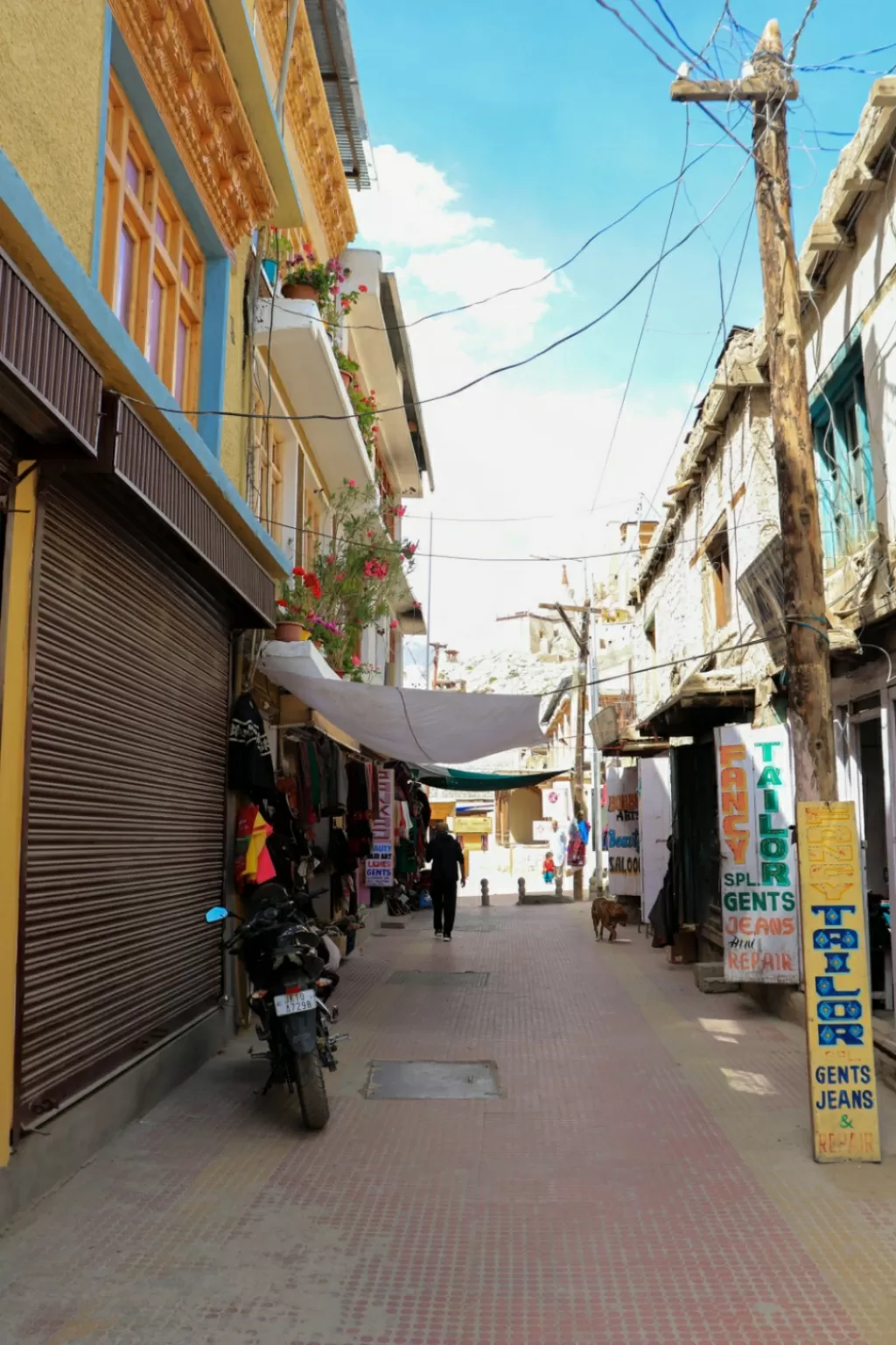 Photo of Leh By Soumita Das