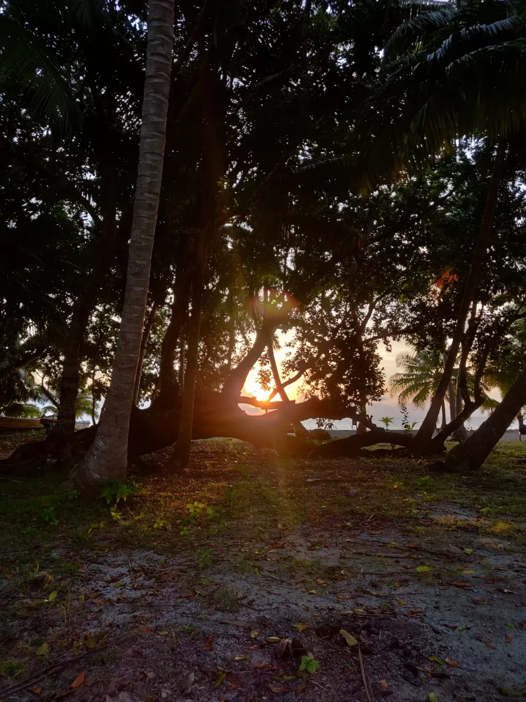 Photo of Havelock Island By Soumita Das