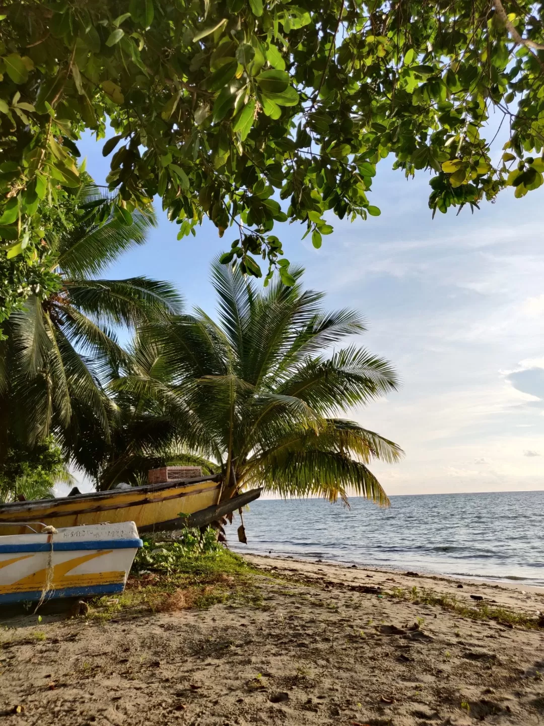 Photo of Havelock Island By Soumita Das