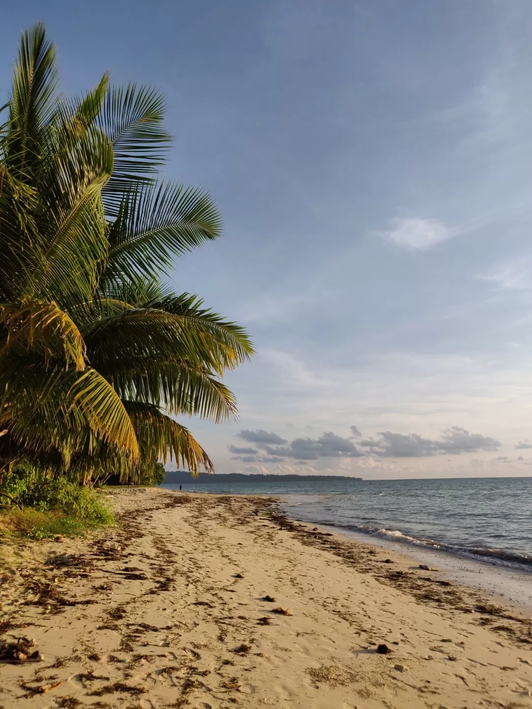 Photo of Havelock Island By Soumita Das