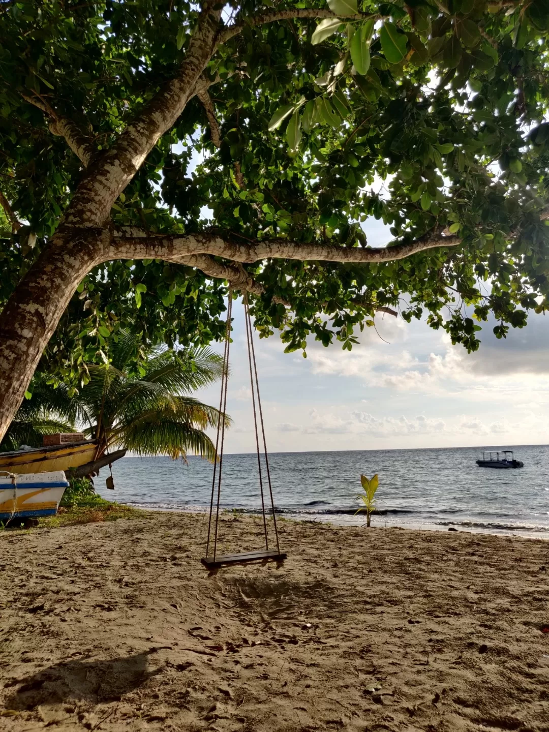 Photo of Havelock Island By Soumita Das