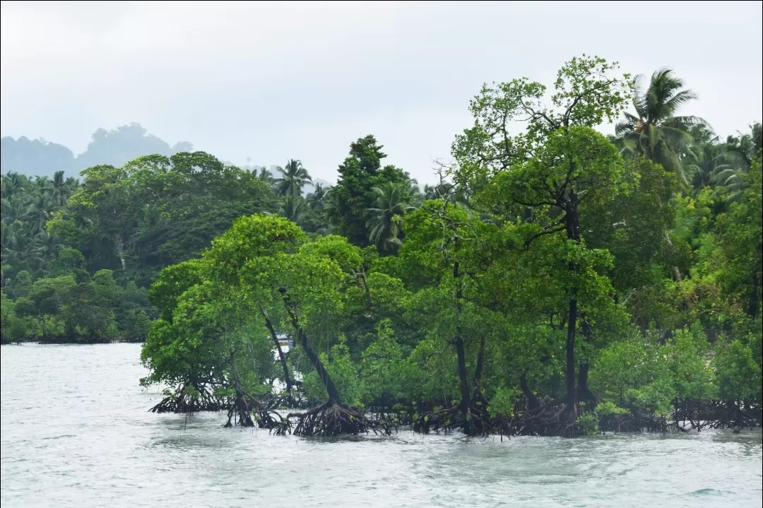 Photo of Andaman and Nicobar Islands By Soumita Das