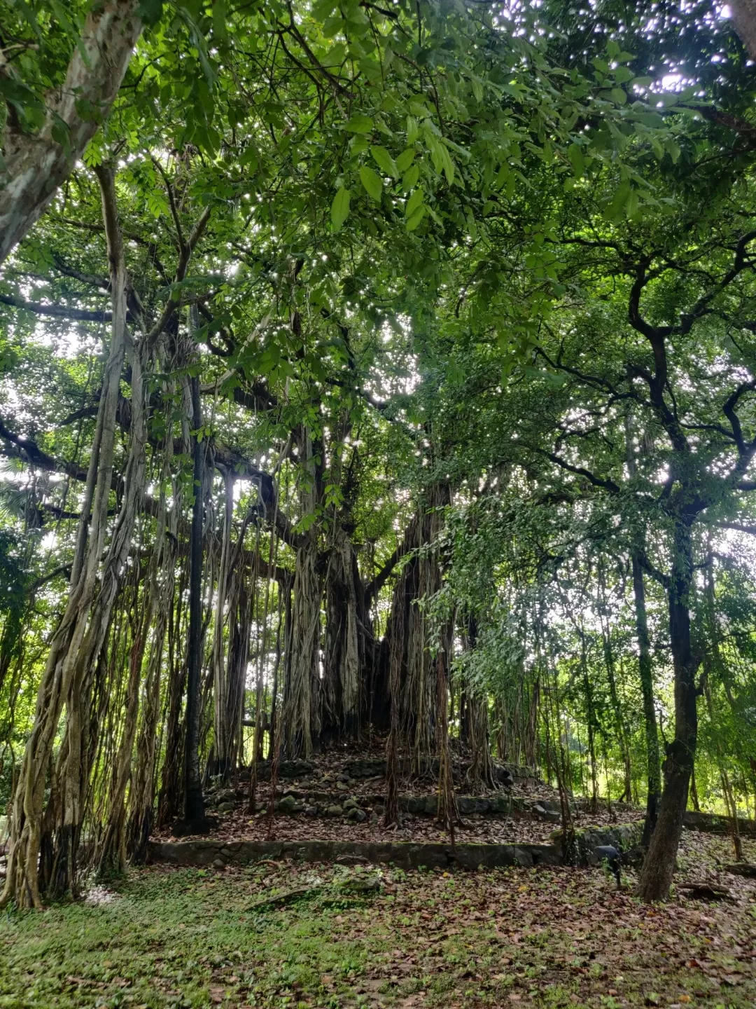 Photo of Shantiniketan By Soumita Das