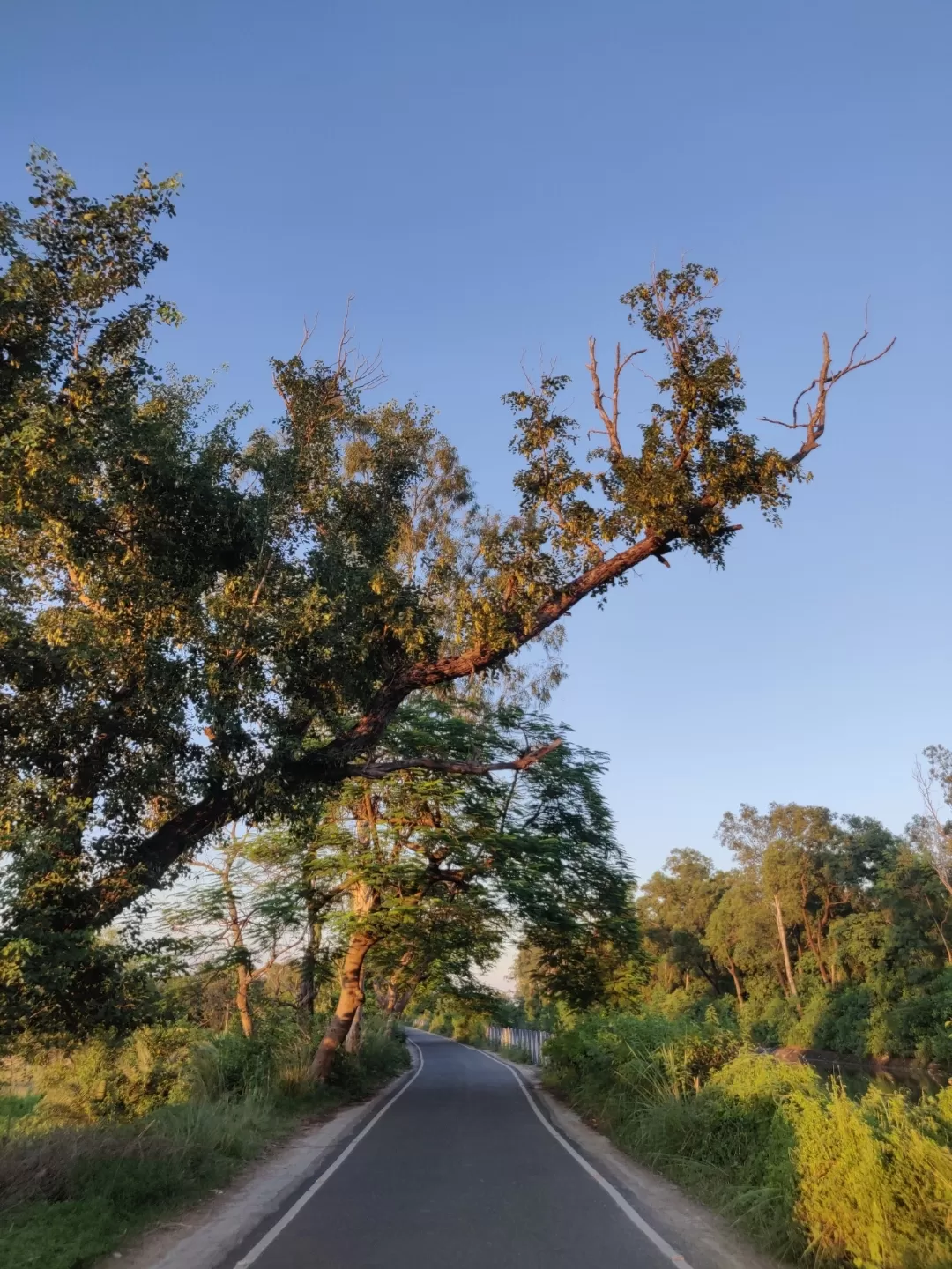 Photo of Shantiniketan By Soumita Das