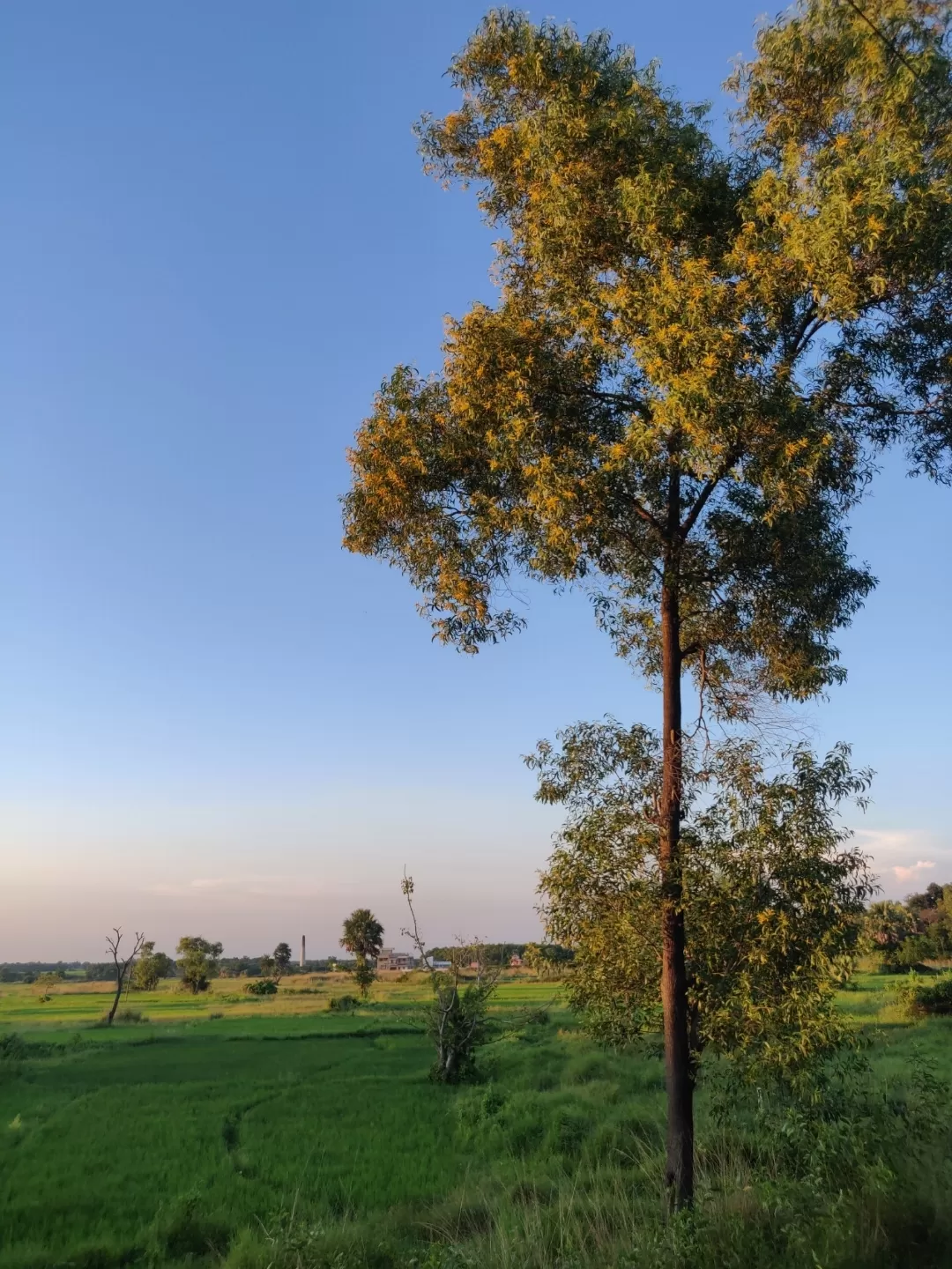 Photo of Shantiniketan By Soumita Das