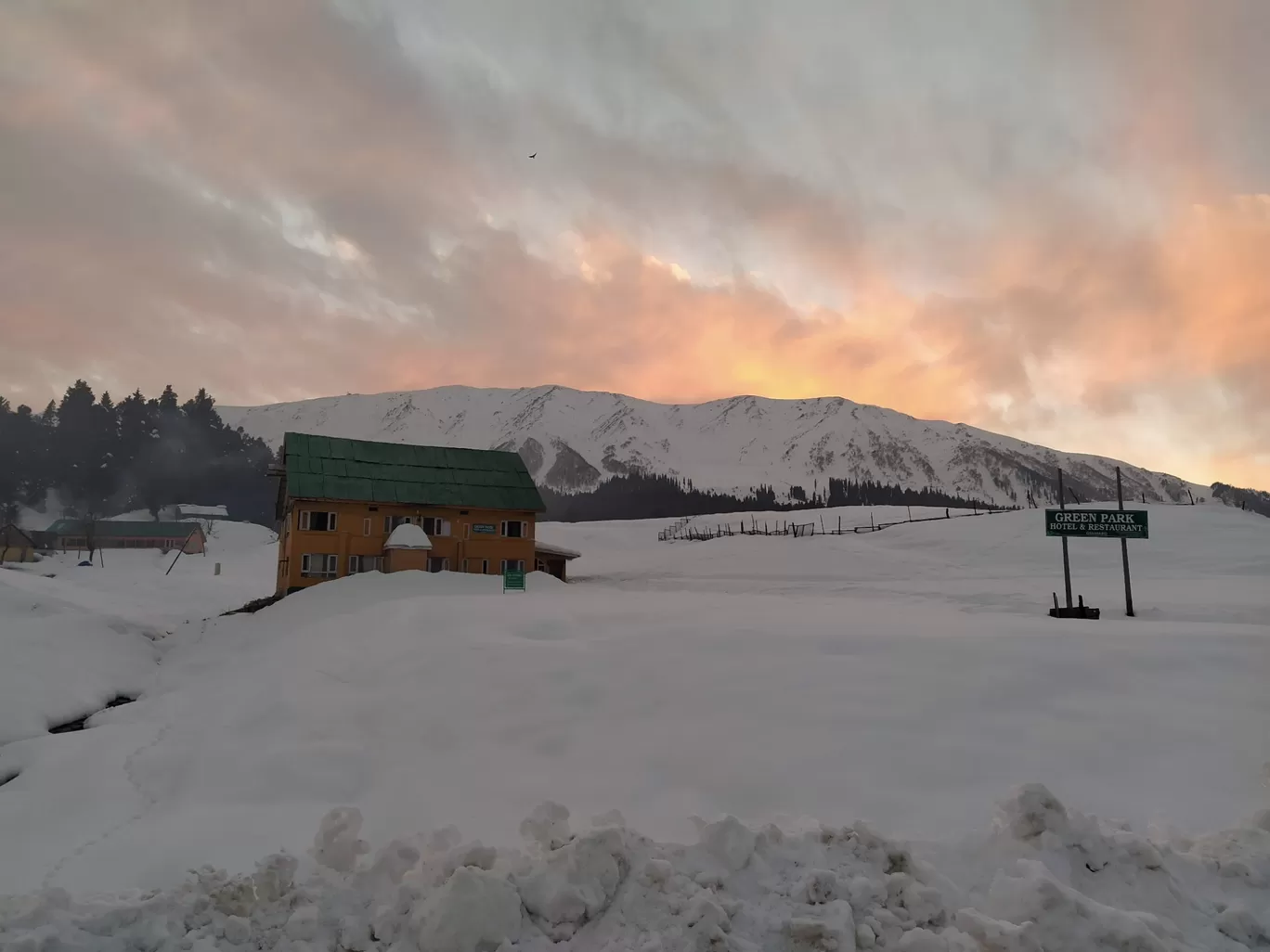 Photo of Gulmarg By Pawan Pandey
