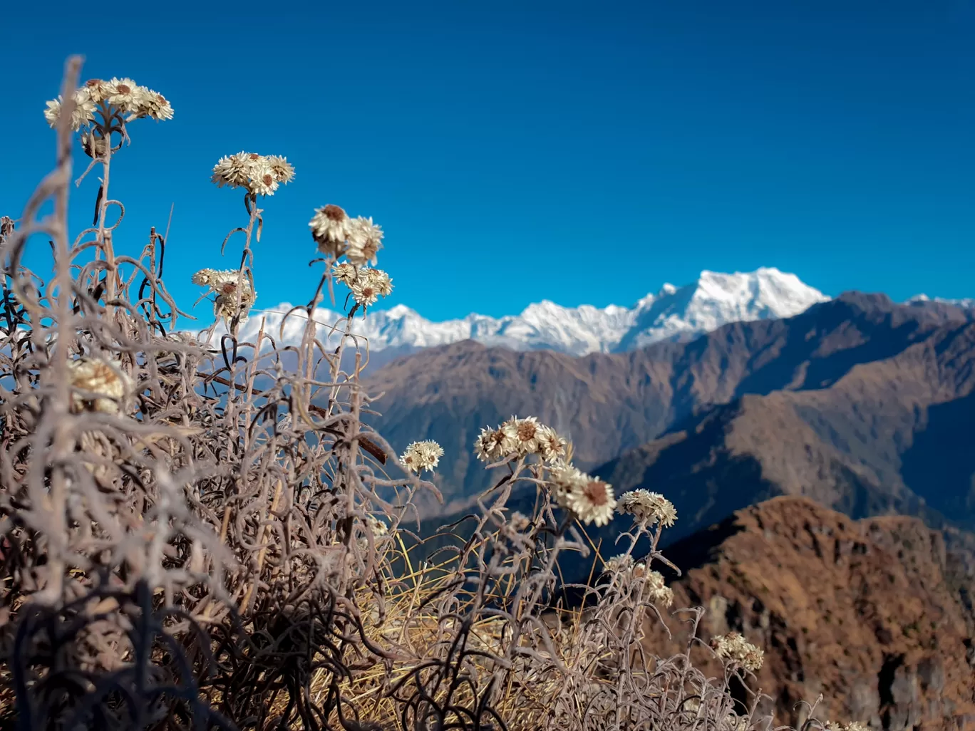 Photo of Tungnath By VARINDER Singh Maan