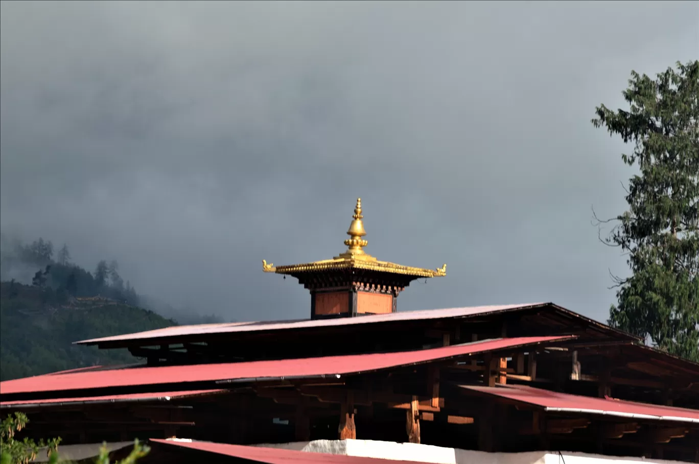 Photo of Bhutan By Pranav Mehendale