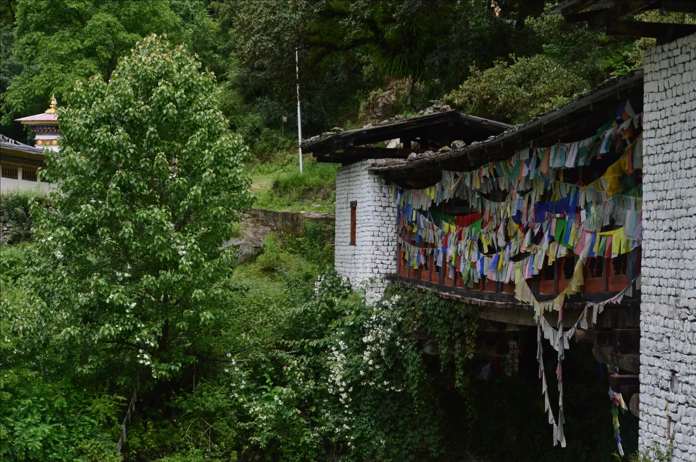 Photo of Bhutan By Pranav Mehendale