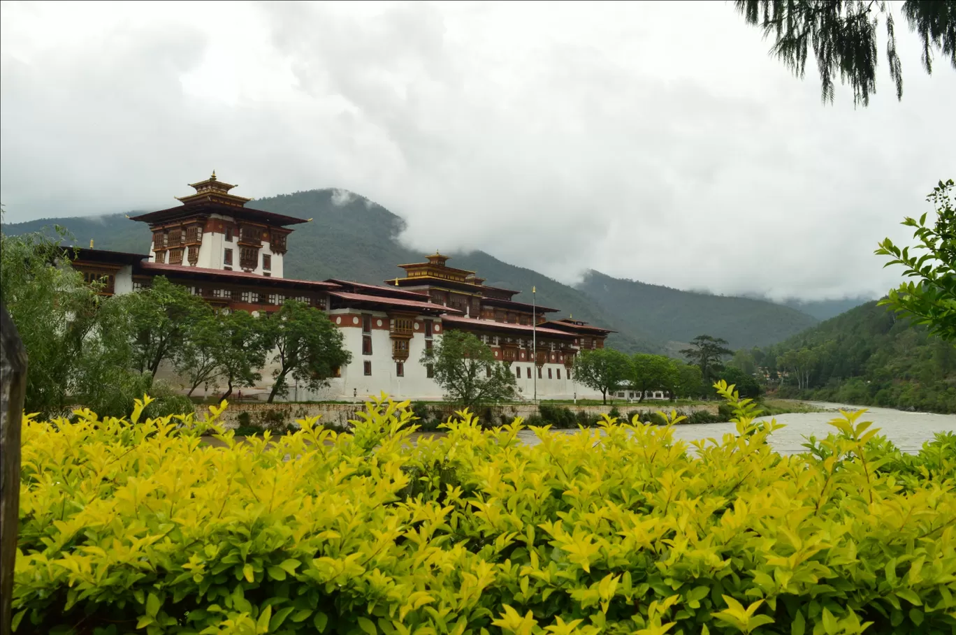 Photo of Bhutan By Pranav Mehendale