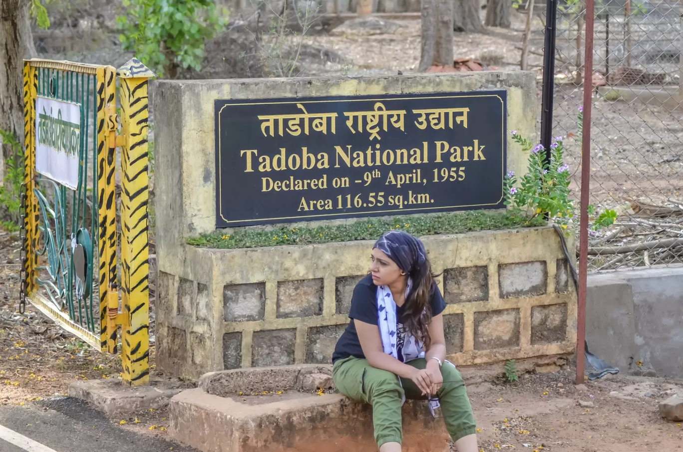Photo of Tadoba National Park By NaughtyandCurly