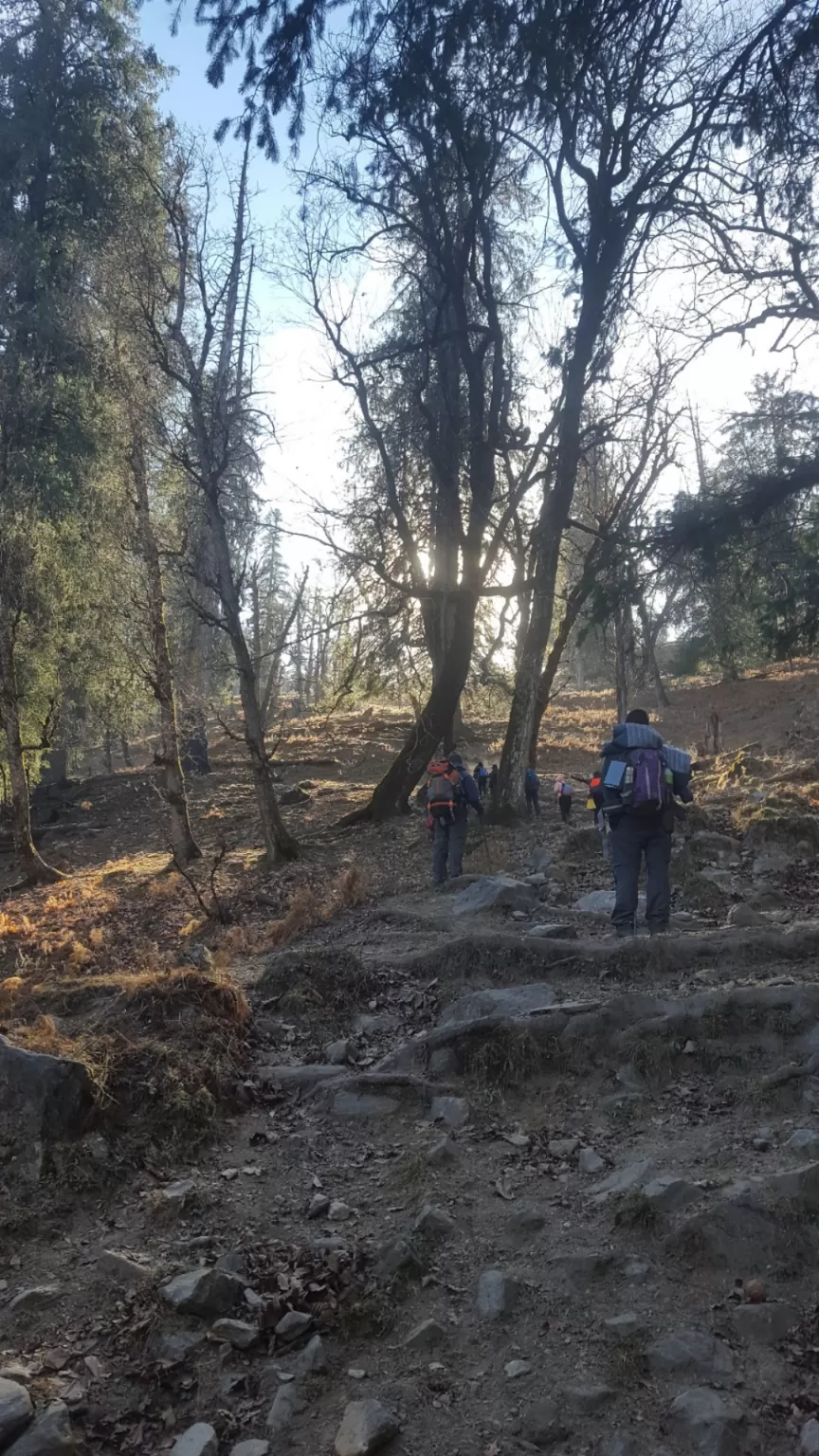 Photo of Kuari Pass Trek By supriya karikatti