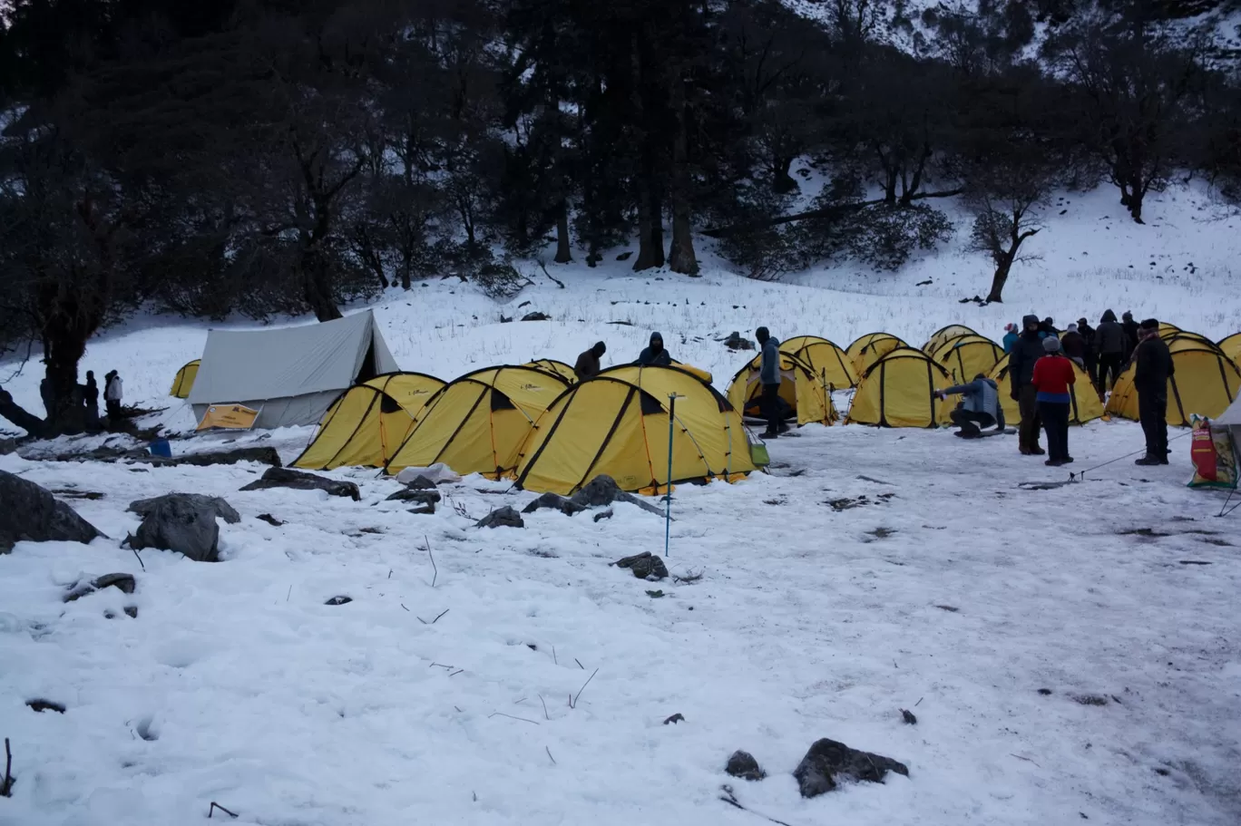 Photo of Kuari Pass Trek By supriya karikatti