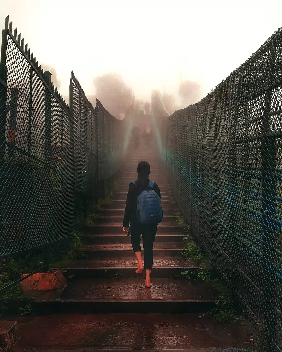 Photo of Chikmagalur By Shubham Jain