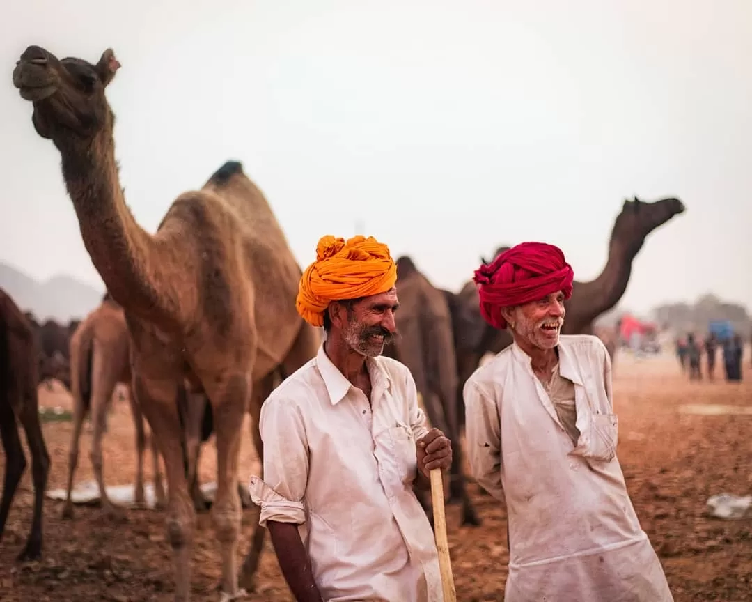 Photo of Pushkar By Shubham Jain