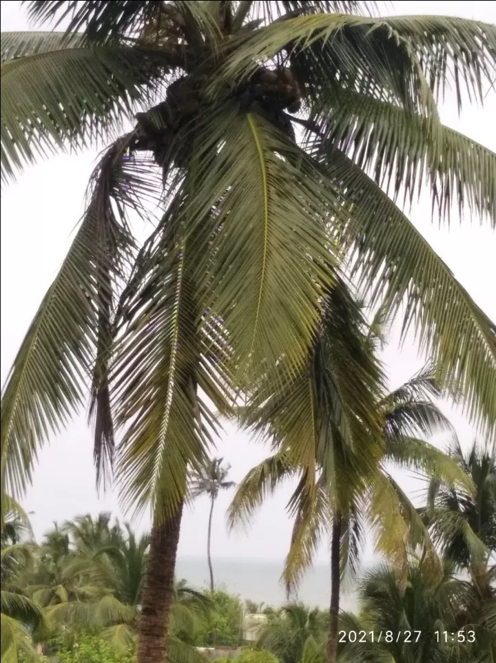 Photo of Arambol Beach By India On Road