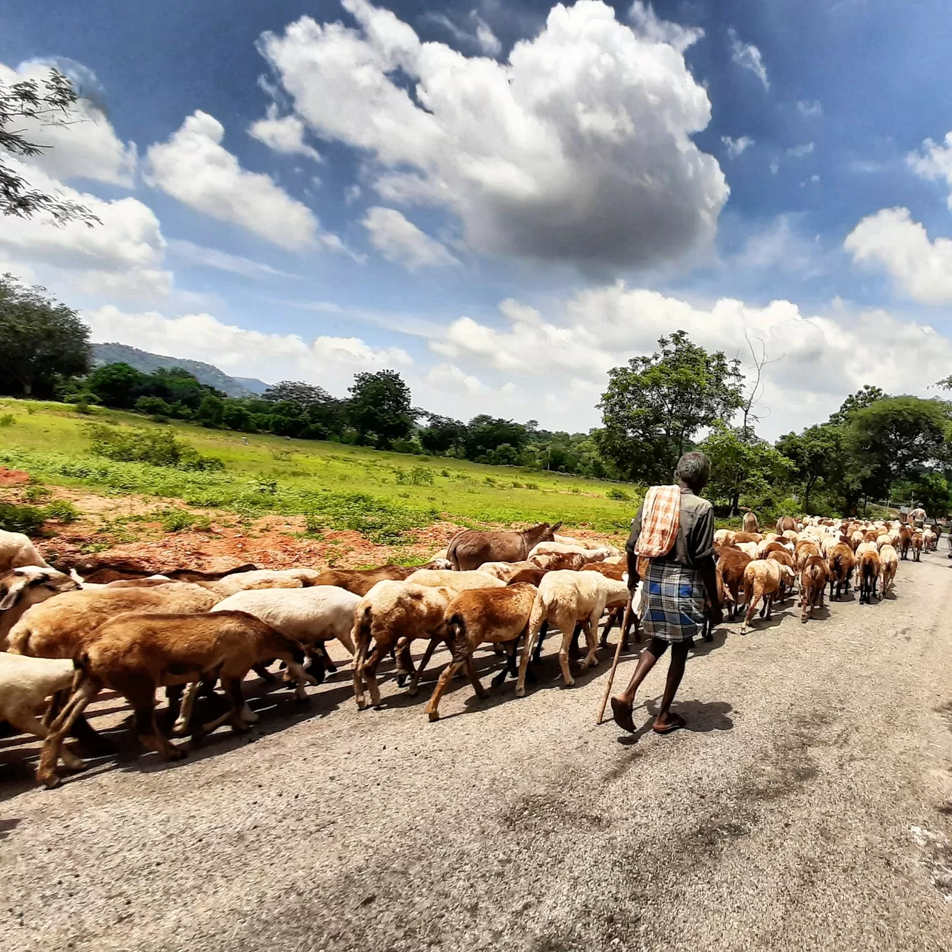Photo of Karnataka By Archana S Raj