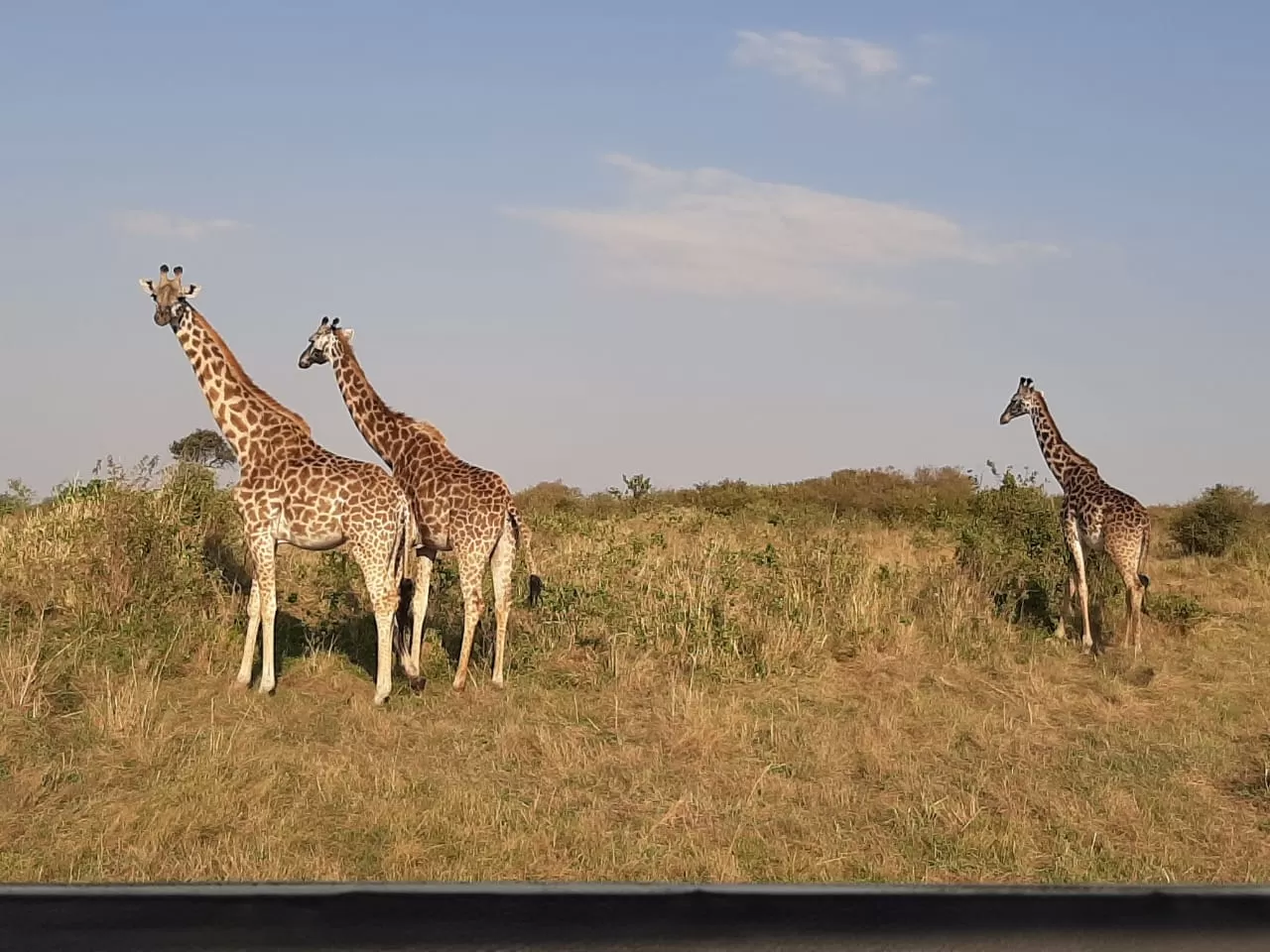 Photo of Maasai Mara National Reserve By Drones Africa Safaris