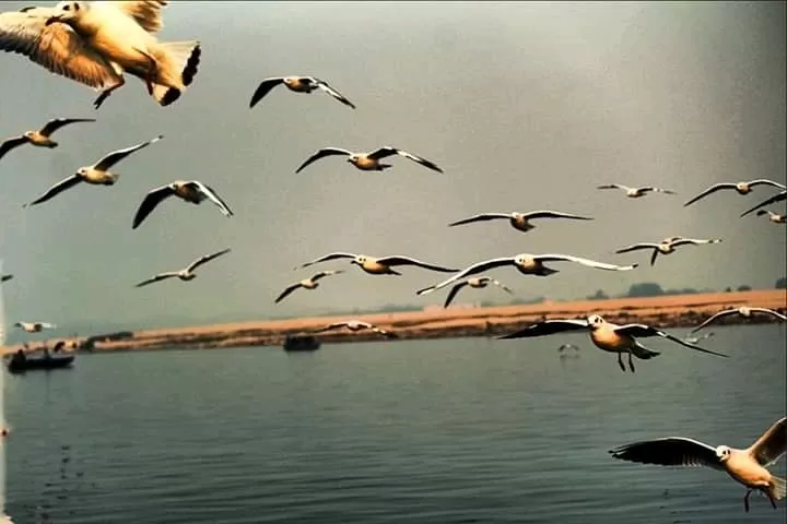 Photo of Varanasi By Ravi Ranjan Ojha