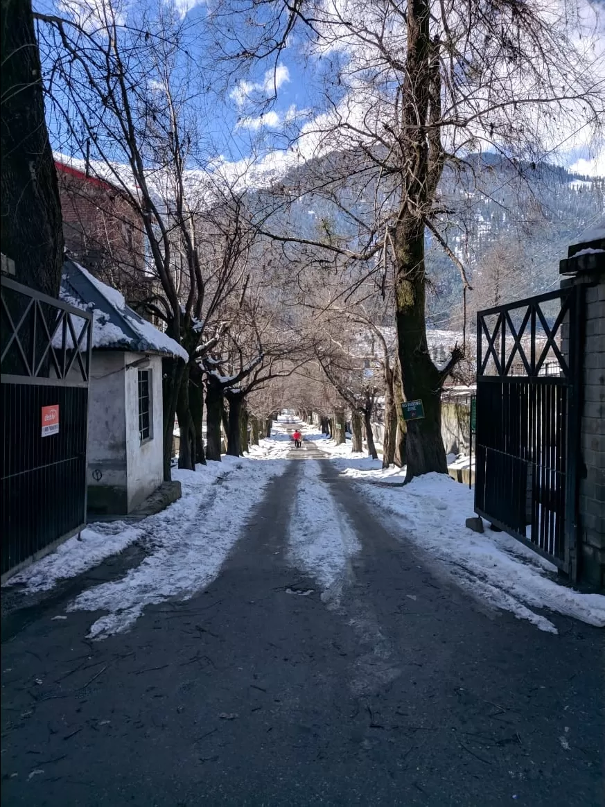 Photo of Manali By Ravi Ranjan Ojha