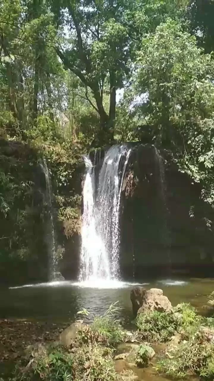 Photo of Corbett Falls By Chetna_Rachel