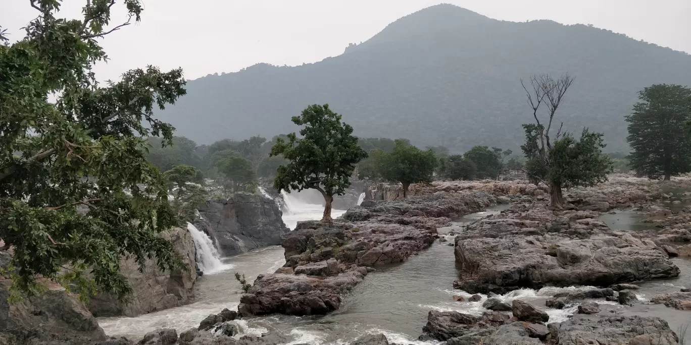 Photo of Hogenakkal Waterfalls By Dikshant Shekhar