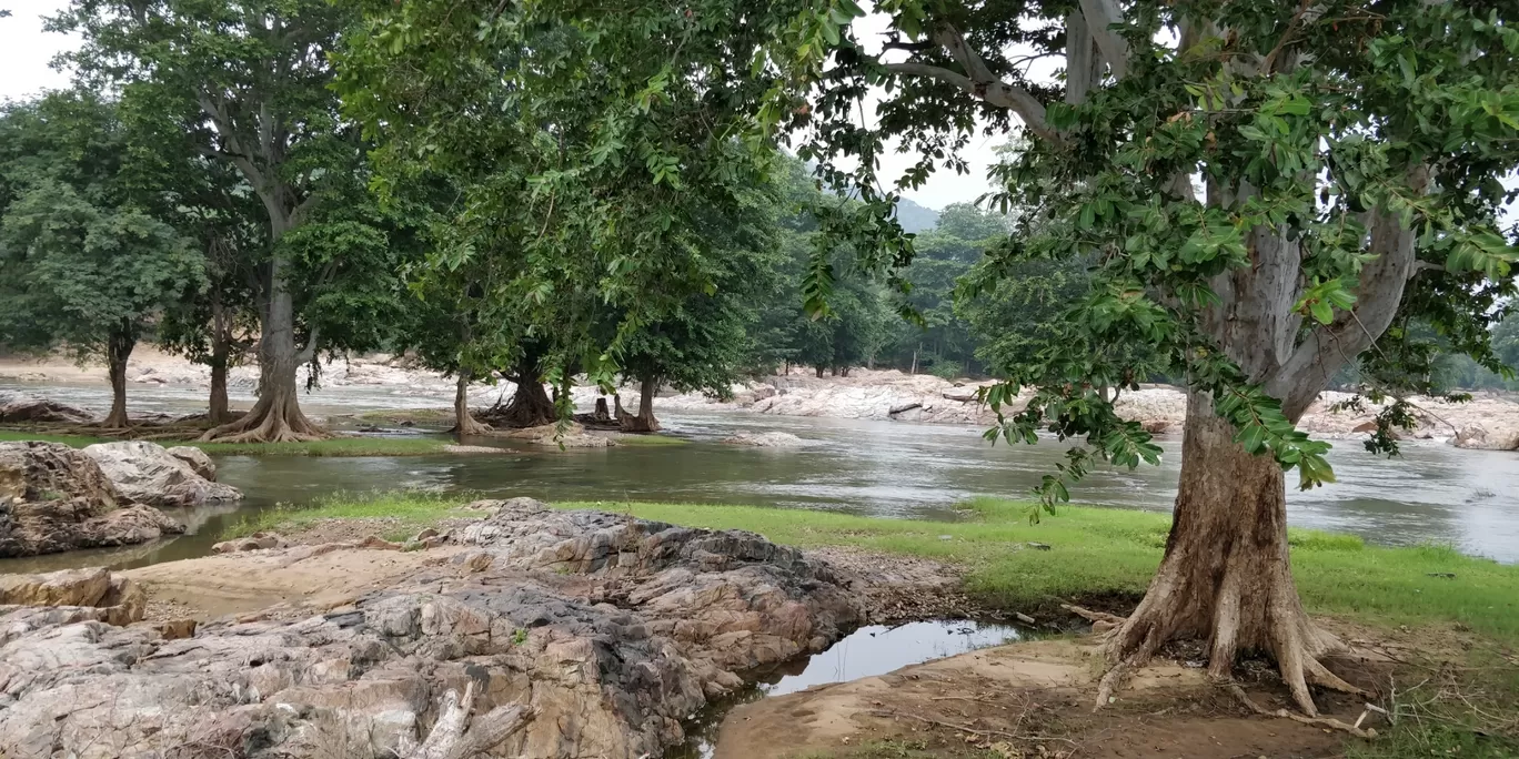 Photo of Hogenakkal Waterfalls By Dikshant Shekhar