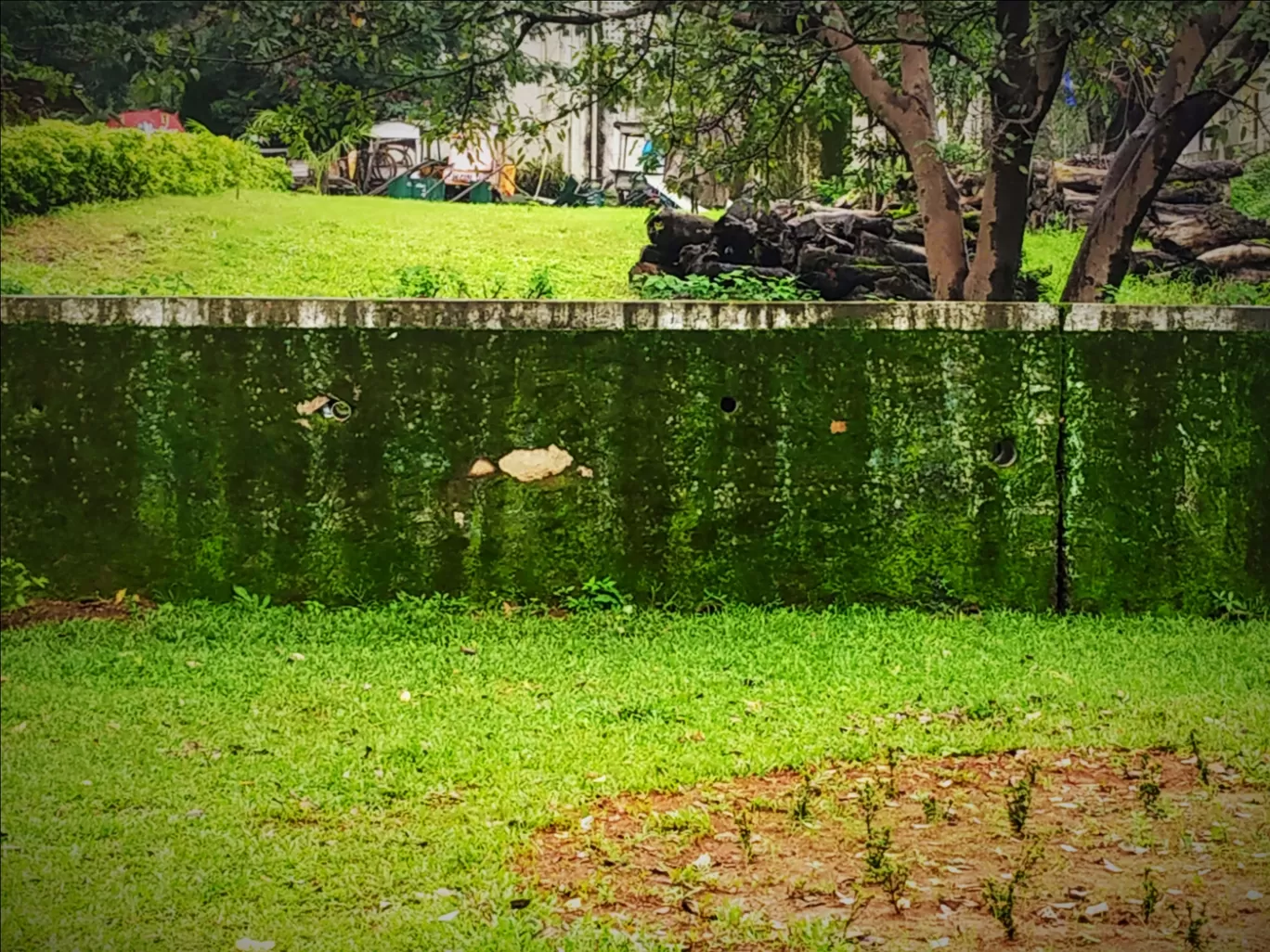 Photo of Saputara By tejaswini suresh