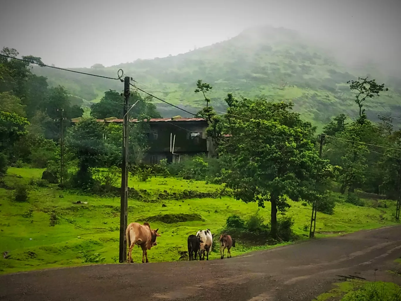 Photo of Saputara By tejaswini suresh